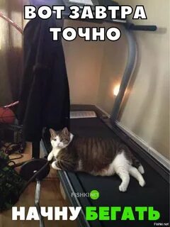 Нет я завтра буду