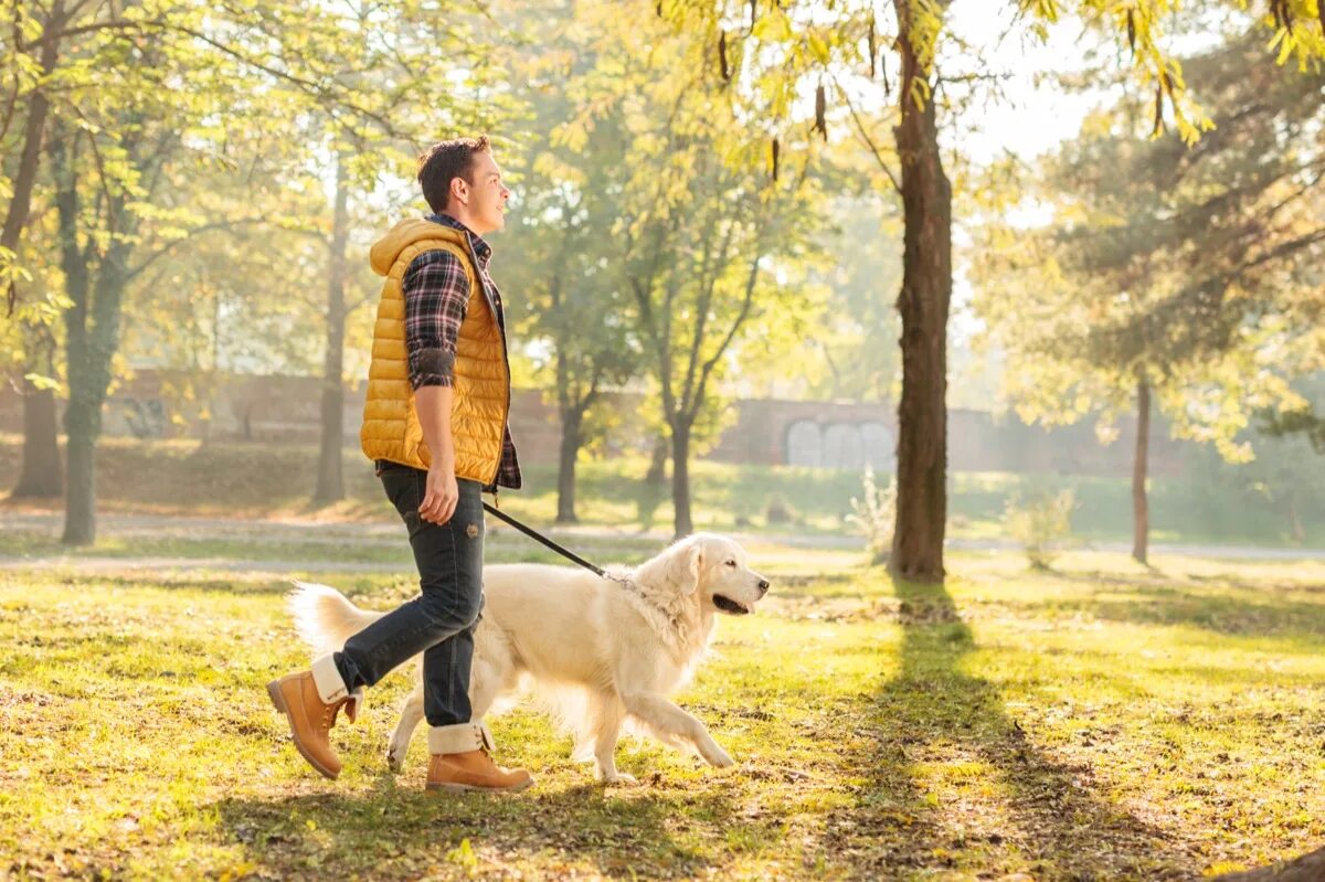 Pet park. Прогулка с собакой. Парень гуляет с собакой. Прогулка с собакой в парке. Люди гуляют в парке.