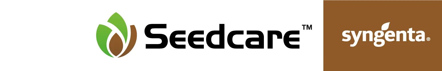 Росток забота. Seedling «рассада». Сельскохозяйственные растения. Seed care. Женщина с рассадой.