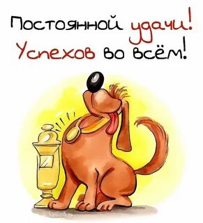 Победил псов