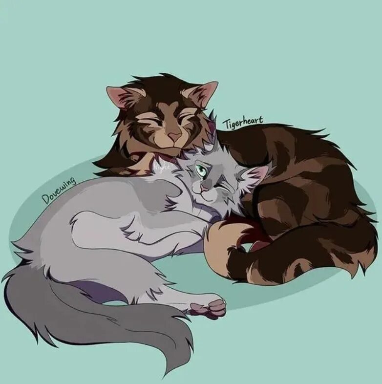 Голубка коты. Коты воители голубка и когтегрив. коты воители когтезвезд. коты воители когтезвёзд и голубка. коты воители когтегрив.