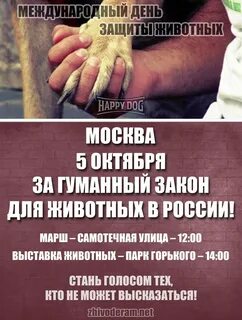 Гуманный закон