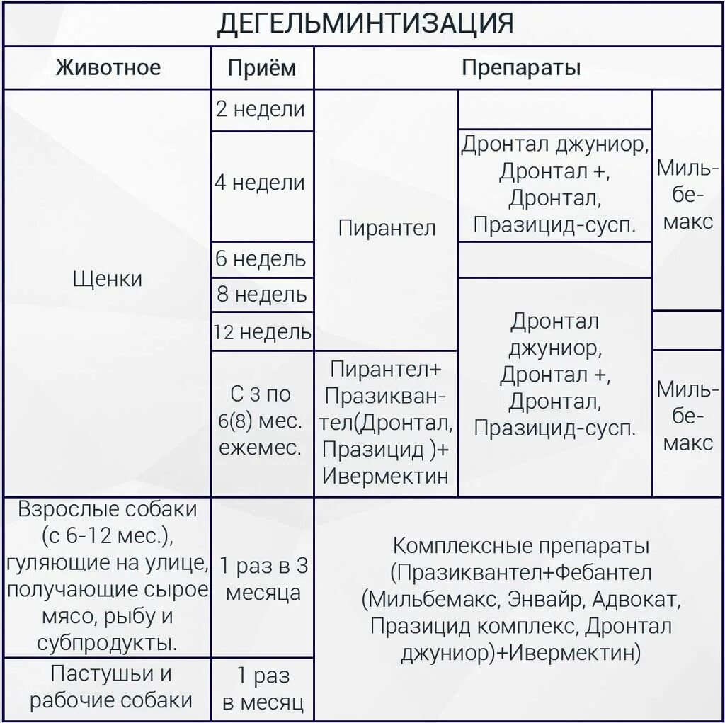 Как часто можно глистогонить. Схема дегельминтизации щенков до года. Схема дегельминтизации и вакцинации щенков. Вакцинация и дегельминтизация собак схема. Дегельминтизация КРС схема.