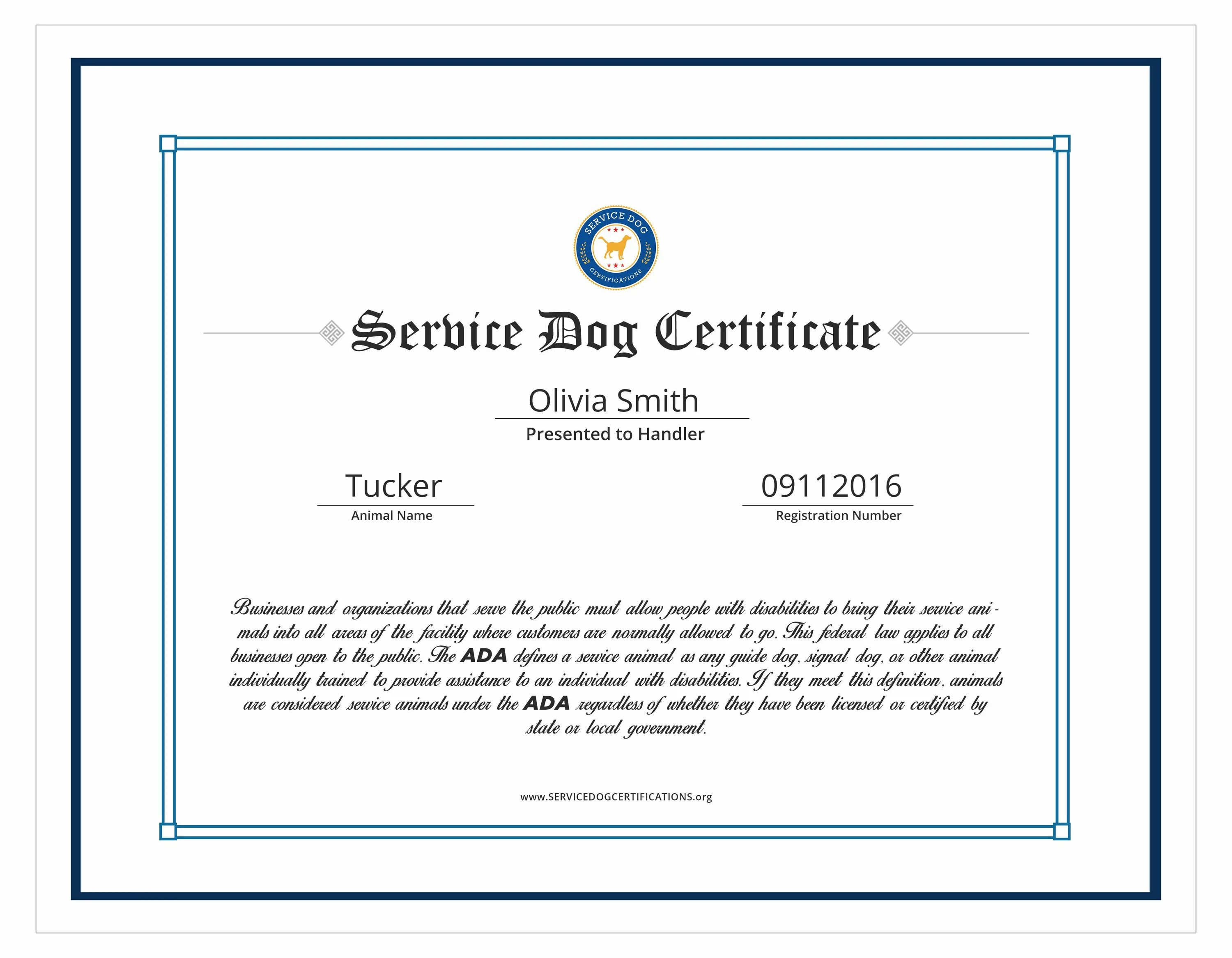 Certificate id. Certificate of Dogs. Service Dog Certificate. Сертификат DOGWINNER. How to get service Dog Certification.