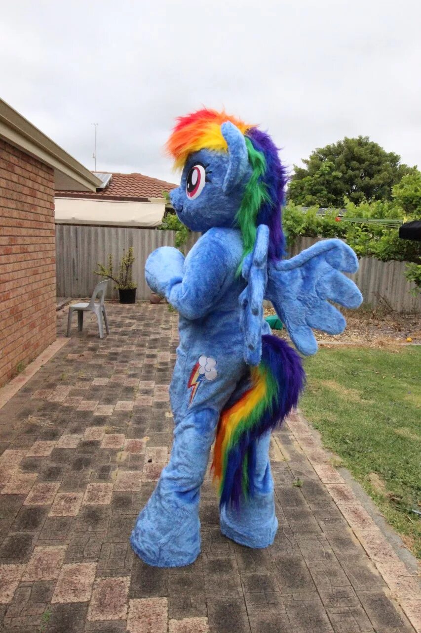 Dash cosplay. Косплей Рейнбоу Дэш. Радуга Дэш косплей. Фурсьют my little Pony. Rainbow Dash косплей.