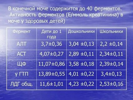 Повышен креатинин моча в норме