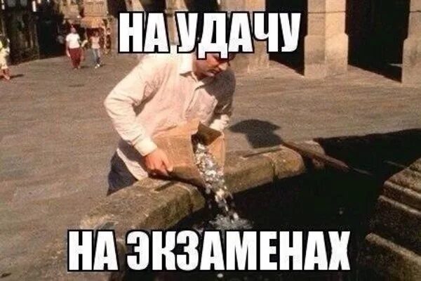 Экзамен смешная картинка. Удачи на экзамене. удачи на экзамене открытка. пожелание удачи на экзамене. удачи на экзамене смешные.