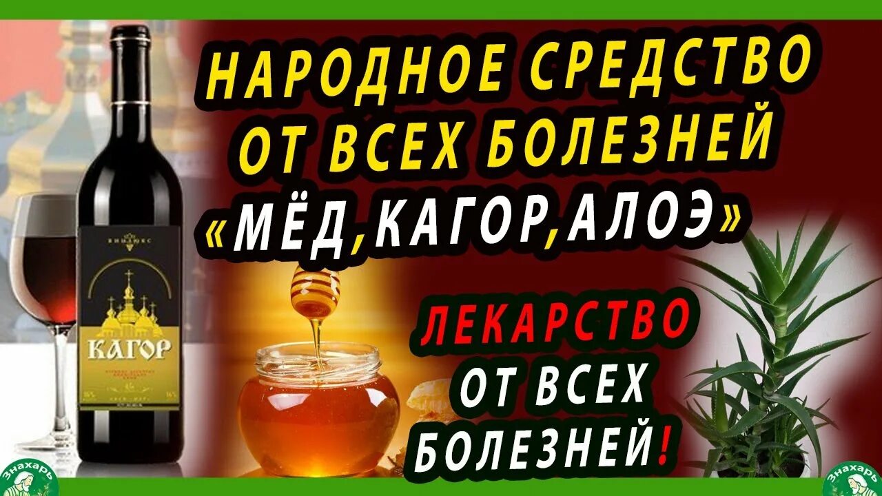 Алоэ мёд кагор лечебные. Вино кагор красное. Кагор дионис крымский. Лекарство из алоэ, мёда и кагора. Кагор с алоэ настойка.