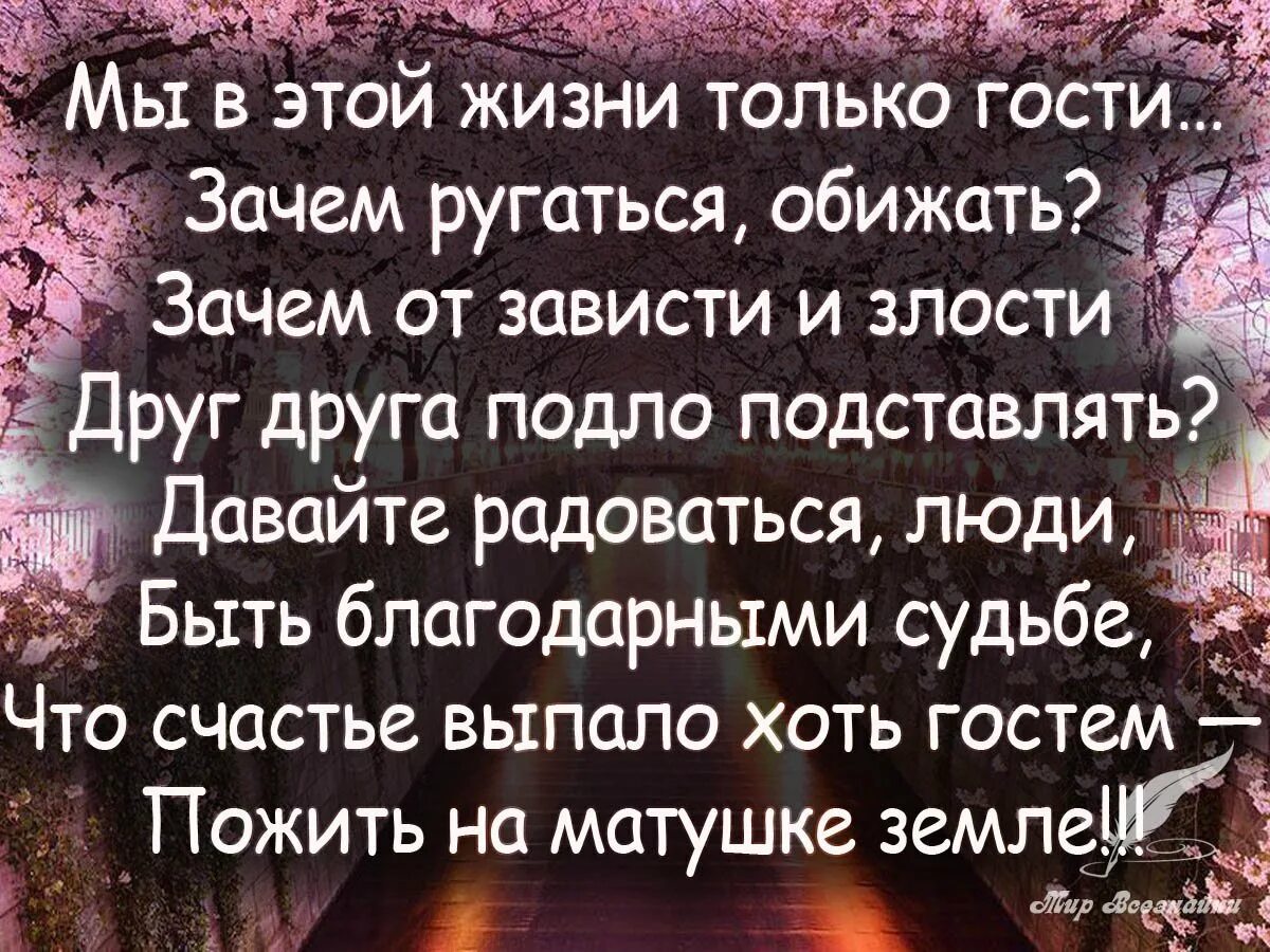 Зачем ссориться. Мудрые слова про жизнь. Мудрость жизни. Статусы про зависть и злость. Умные стихи.