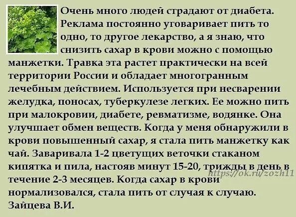 Народные средства для понижения сахара в крови. Как снизить сахар в крови при сахарном диабете. Народные средства для снижения уровня сахара в крови. Народные средства для снижения уровня Глюкозы в крови.