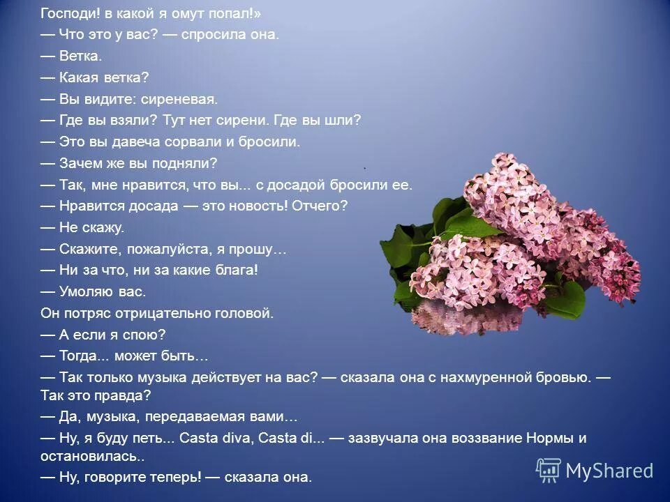 Песня про веточку. Песня про веточку. Узенький проулочек песня. Одинокая ветка сирени текст. Стихотворение про сирень.