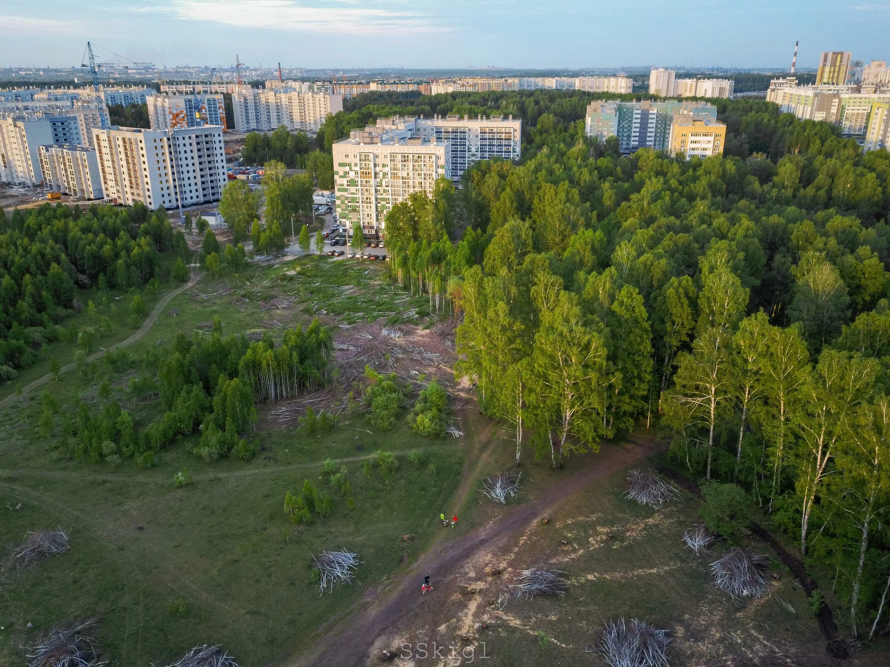 Вырубка деревьев на генерала карбышева. Вырубка деревьев уфа. рубка деревьев на курчатова димитровград. вырубка деревьев за остановкой деревня новая.