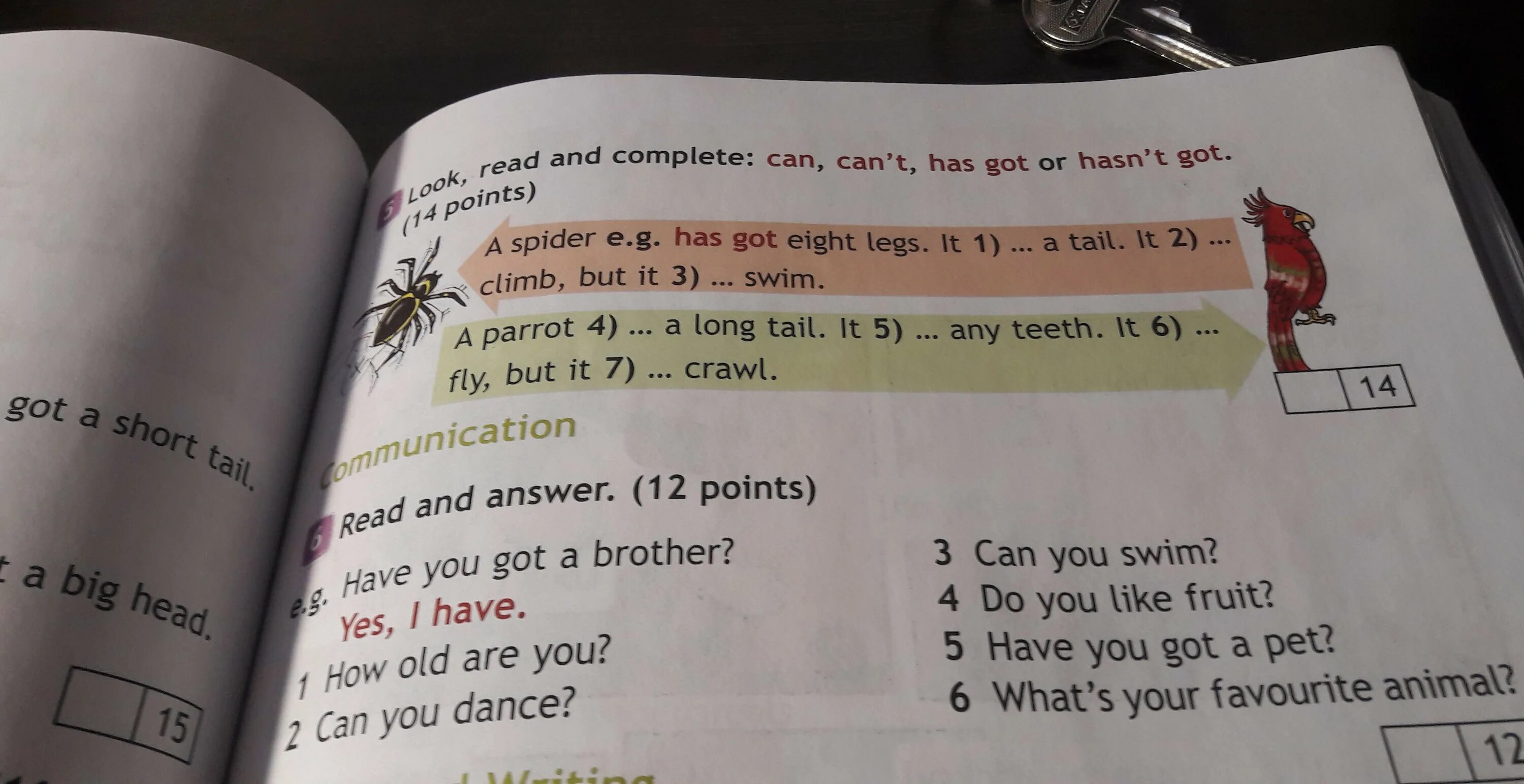 Look read and complete 3 класс ответы. Look read and complete 3 класс ответы. A Spider e. g. has got eight Legs. It 1) a Tail. It. Read choose and complete 4 класс. A Spider has got eight Legs.