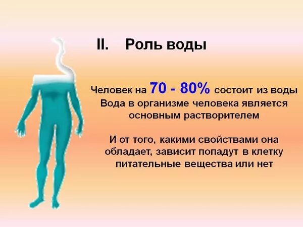 Человек состоит из 10 цифр. Тело человека состоит. из чего состоит человек. из чего состоит организм человека. из чего состоит вода.
