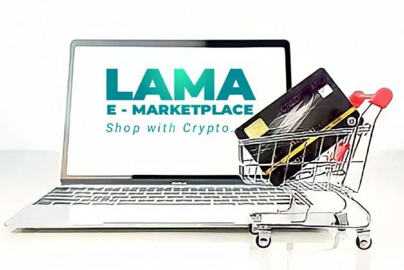 Whitelist купить. Вайтлист spexy. Whitelist. Pitch deck. Вайтлист.