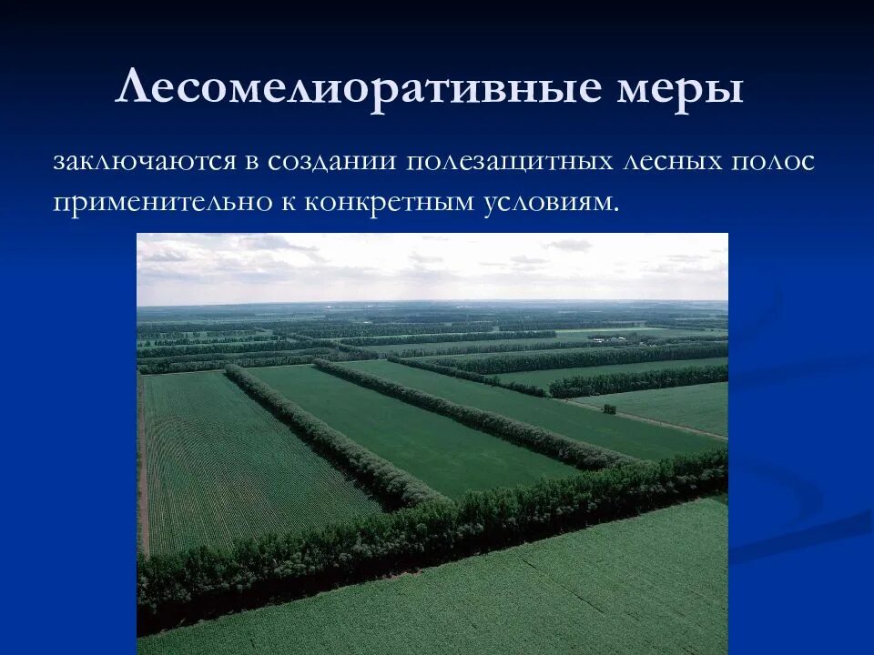 Создание полезащитных лесных полос. Защита почв от эрозии. меры по защите почв от эрозии. полезащитные лесные полосы. лесомелиоративные.