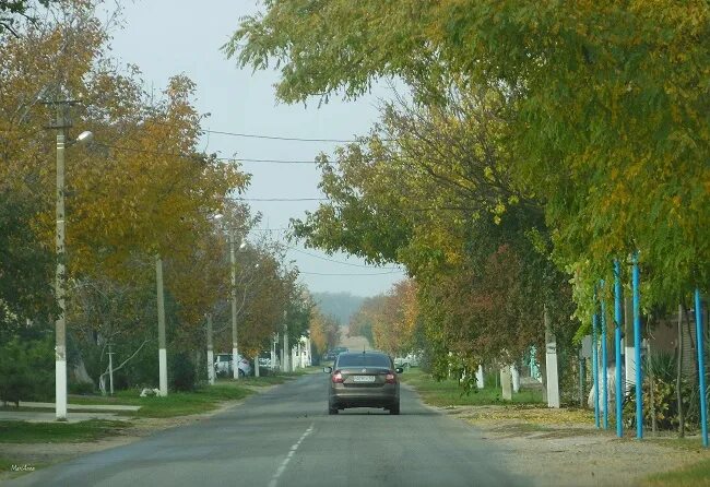 Курганинск поселок Южный. Станица Новоалексеевская Краснодарский край Курганинский район. Ильинка станица Краснодарский край. П Степной Краснодарский край Курганинский район.