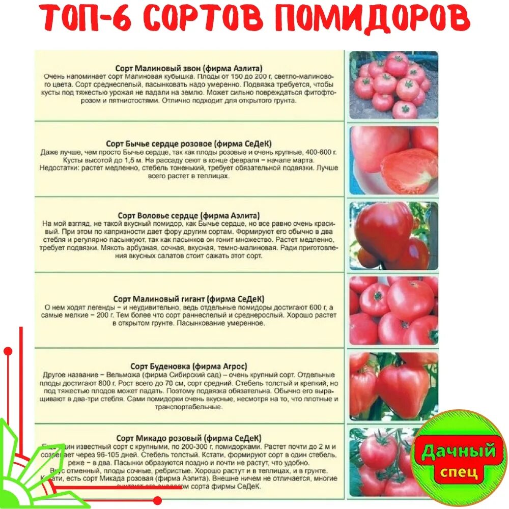 Какой сорт томатов лучше. Сорта помидоров названия. таблица сортов помидоров. томаты сорта название. самые востребованные сорта томатов.