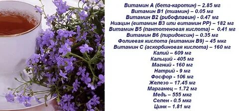 Чем полезен чабрец для организма в чае