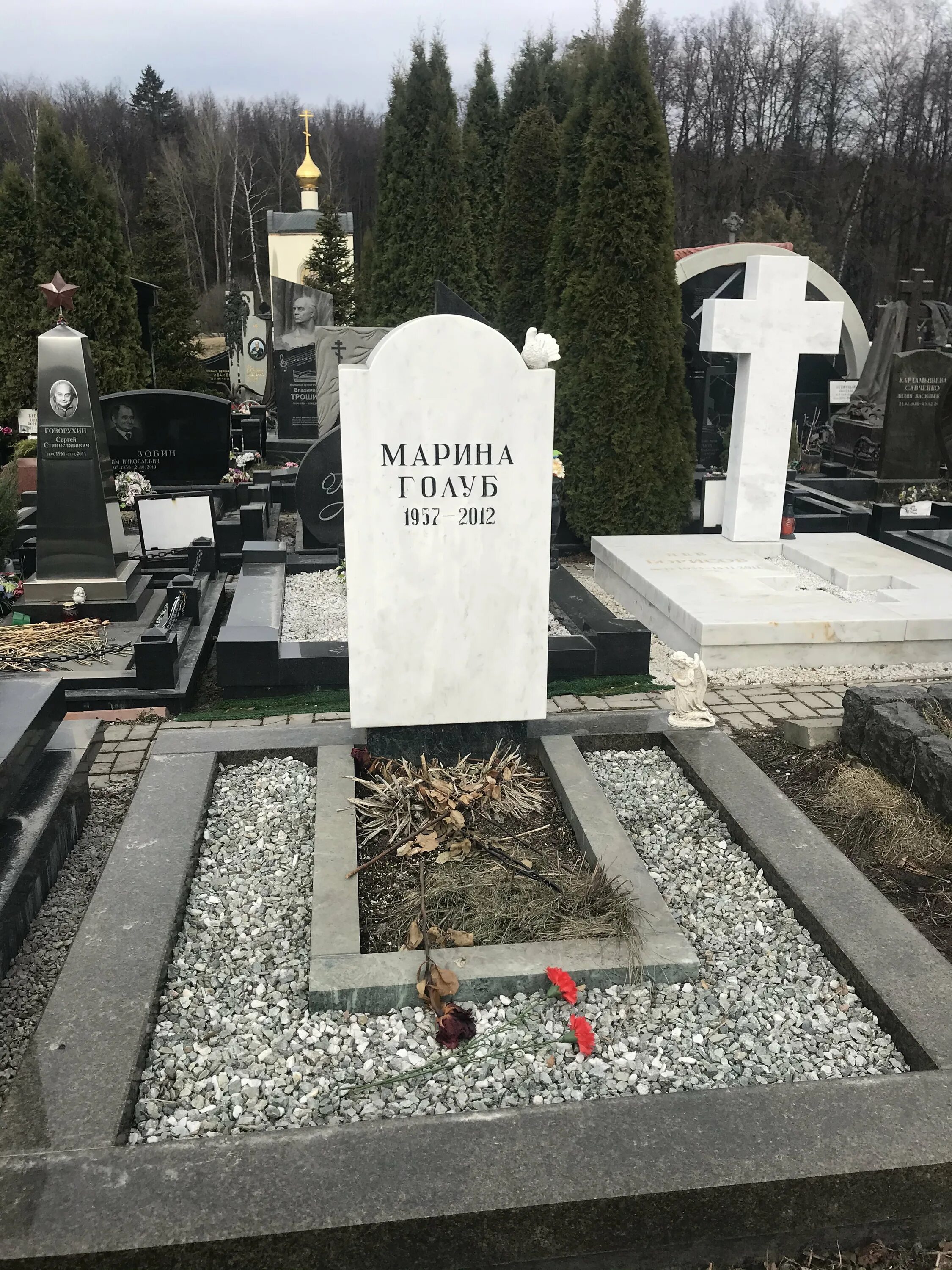 Где похоронили марину. Троекуровское кладбище аллея адмиралов. Могила Марины Голуб на Троекуровском кладбище. Памятник Марины Голуб.