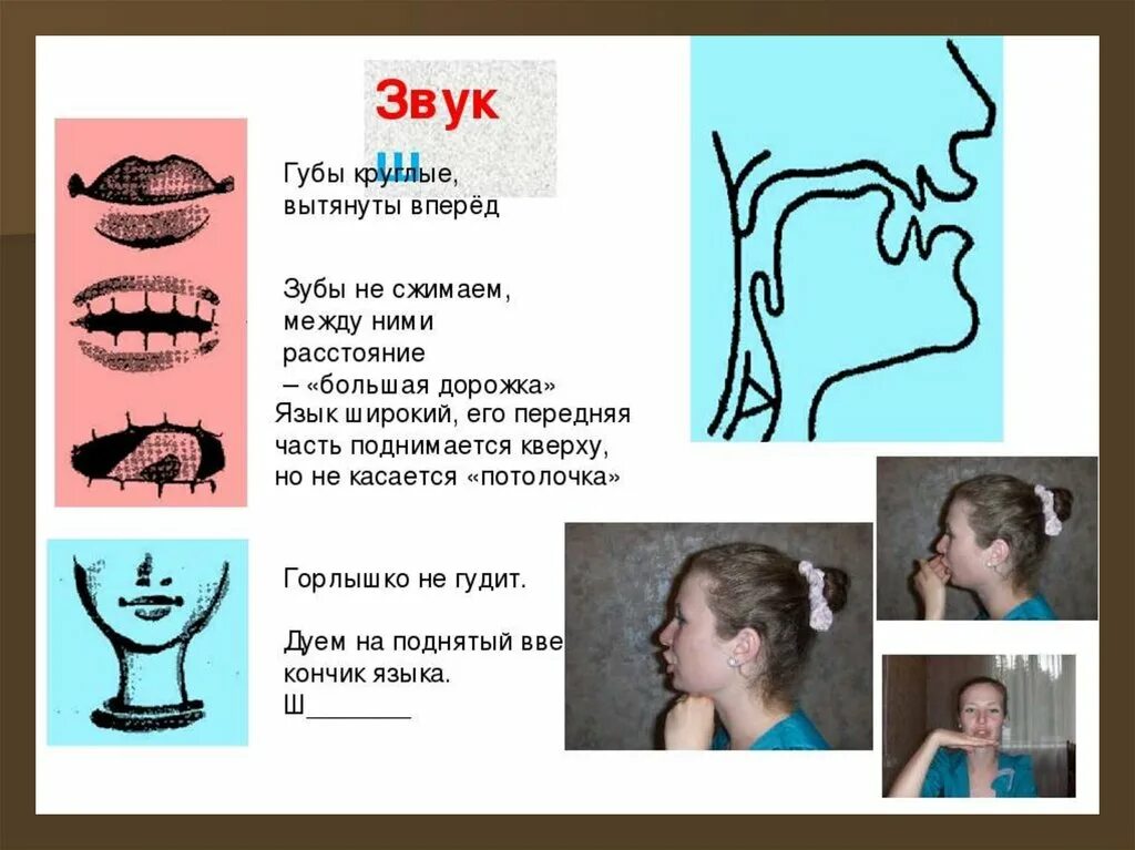 Правильное произношение звука ш. Профиль звука ш. Произнесение звука ш. Правильная артикуляция звука с. Ш как произносится