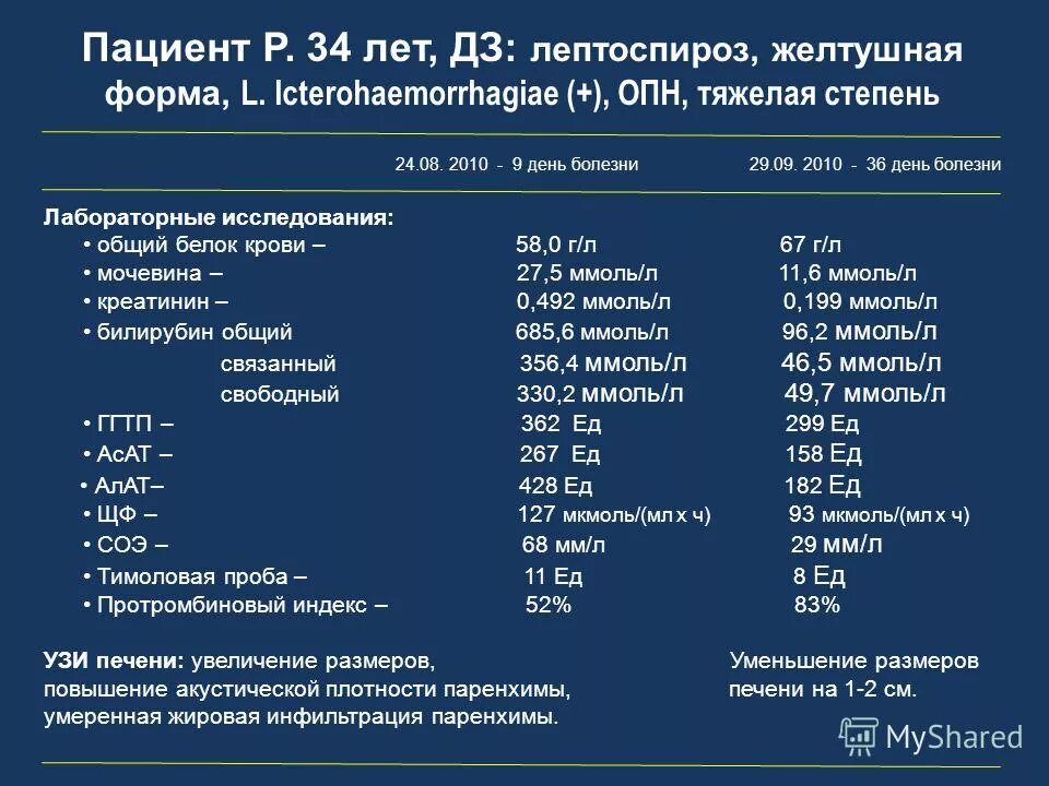 Лептоспироз гепатит