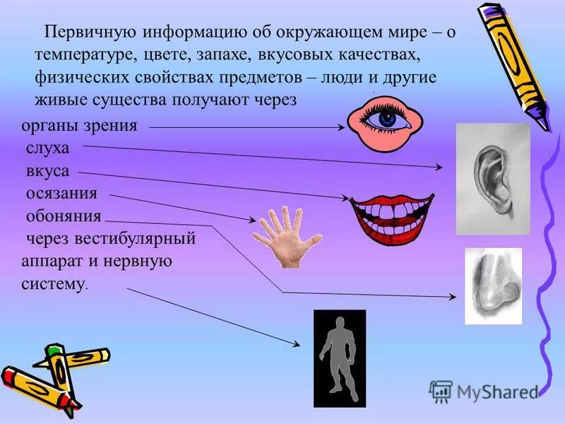 Получение информации об окружающем мире. Получение информации об окружающем мире. Зрительная слуховая обонятельная осязательная вкусовая. Информация об окружающем мире. Виды информации по способу восприятия.