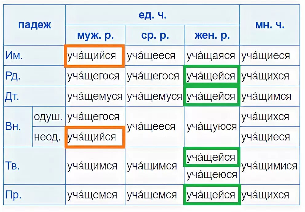 Учащаяся слово. Учащейся или учащийся. Обучающийся в женском роде. Учащейся как правильно. Учащихся как пишется.