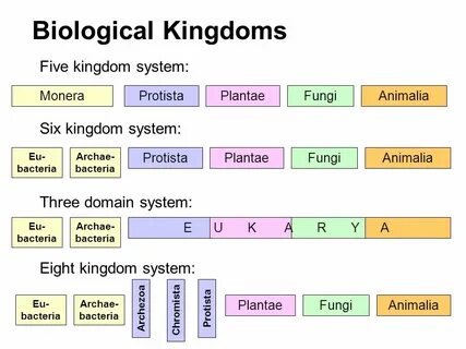 Classification system