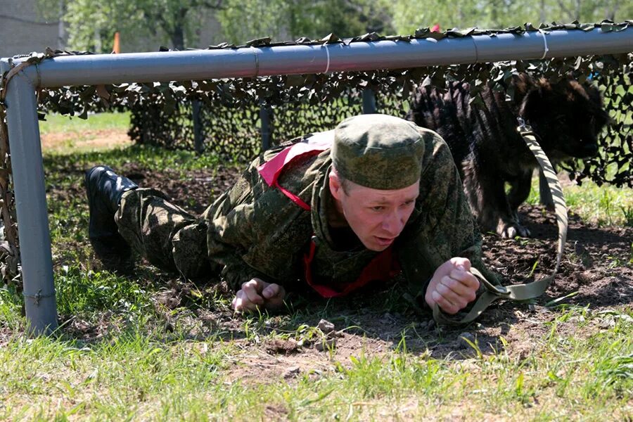 Армейских условиях. Военнослужащие в экстремальных условиях. Адаптация военнослужащих. Экстремальные условия военной службы. Военнослужащие адаптация к военной службе.