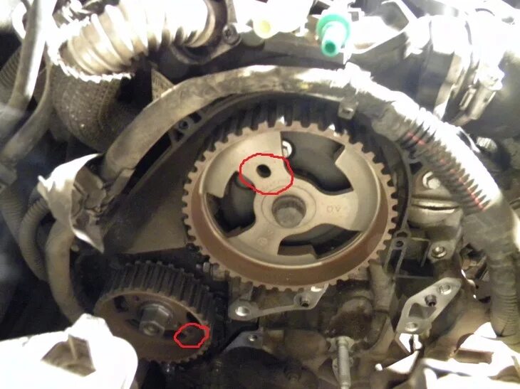 Грм ситроен берлинго 1. 4. Грм ситроен берлинго 1. Ремень грм ситроен с4 1. 4.