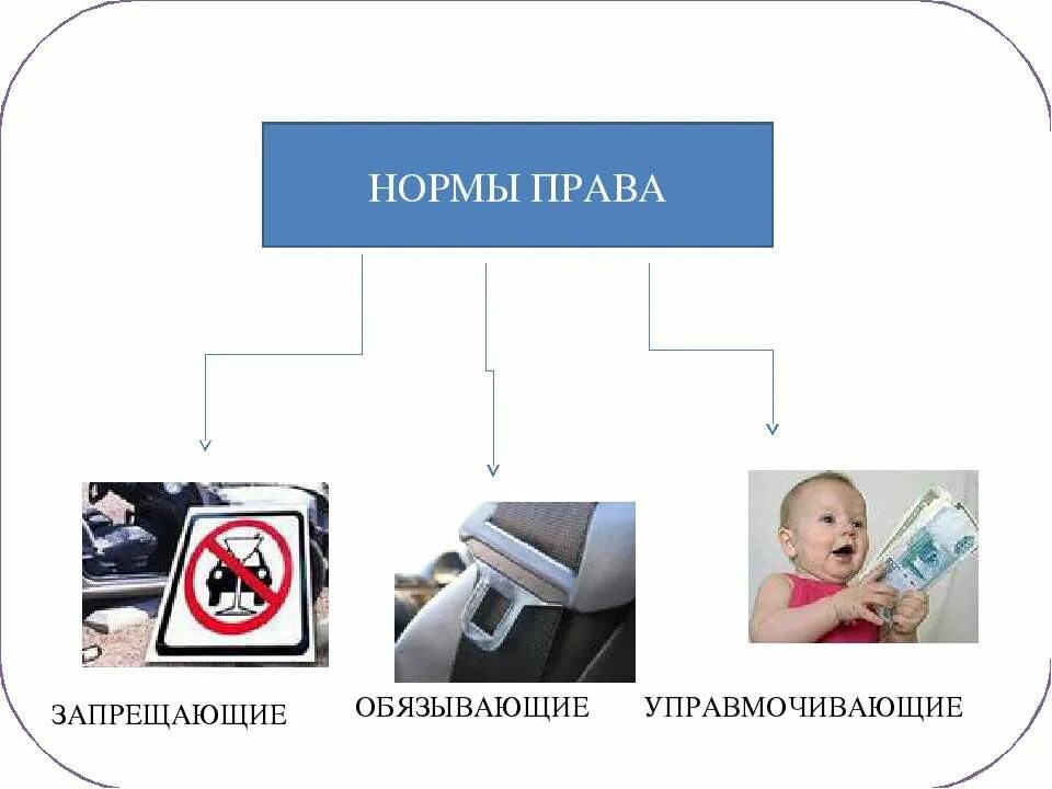 Запрещающие правовые нормы. Уполномоченные обязывающие запрещающие