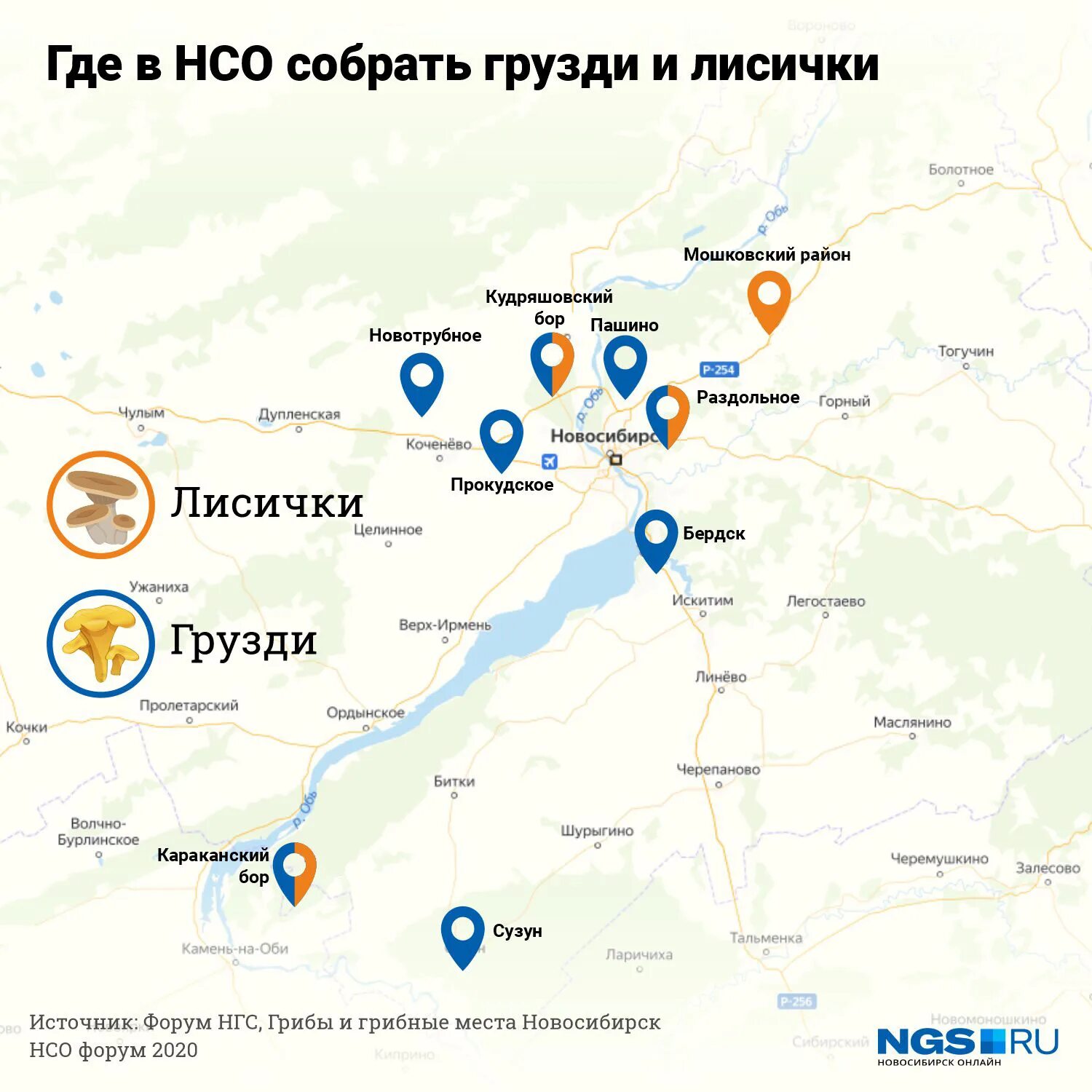 Где 6 октября. Грибы в Новосибирске на карте. Грибная карта Новосибирска. Грибные места в Новосибирске на карте. Грибные места НСО карта.