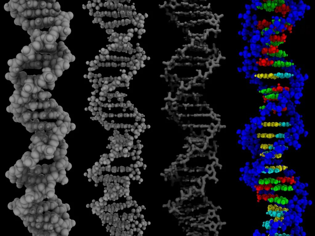 Электронный микроскоп микрофотографии. Микрофотография днк. Кариотип микрофотография. Днк человека под микроскопом. Пурпурные серобактерии микроскопия.