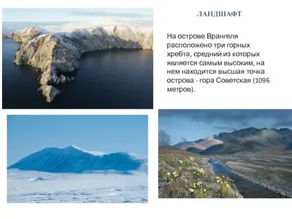 Рассказ про остров врангеля