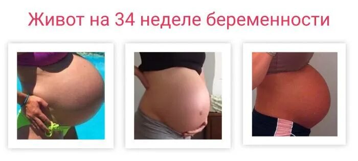 Живот на 34 неделе беременности. Животы беременных на 34 недели. Живот на 34-35 неделе беременности. Расположение плода на 34 неделе беременности.