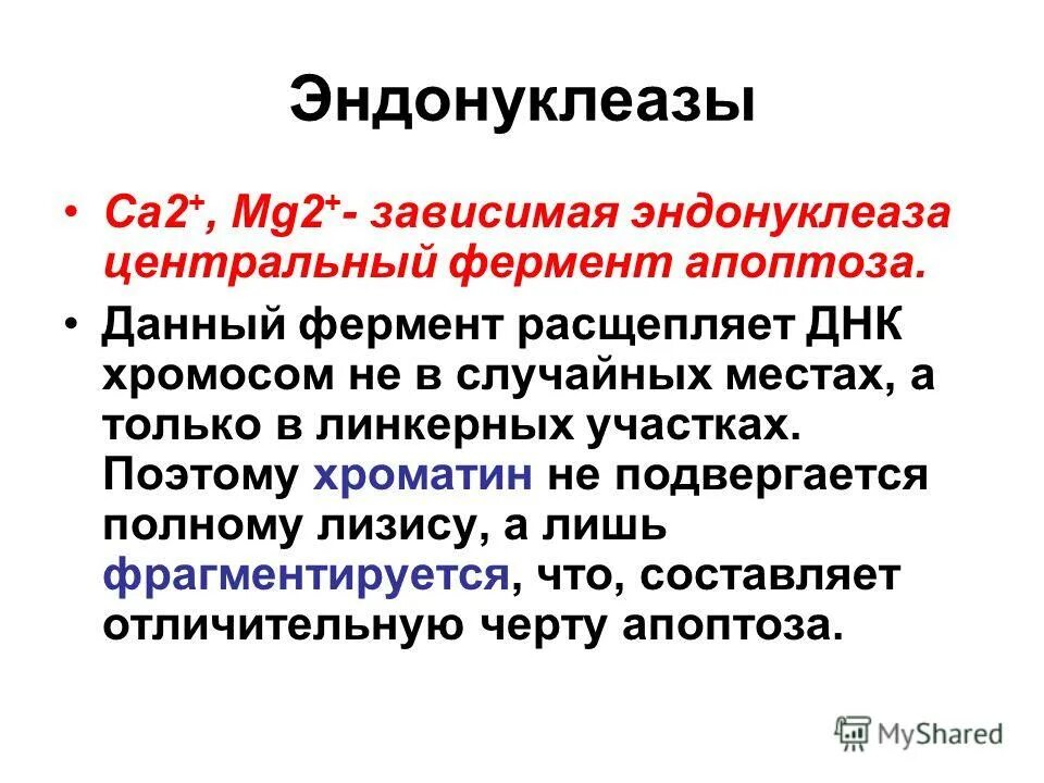 Инициация происходит кэп зависимо
