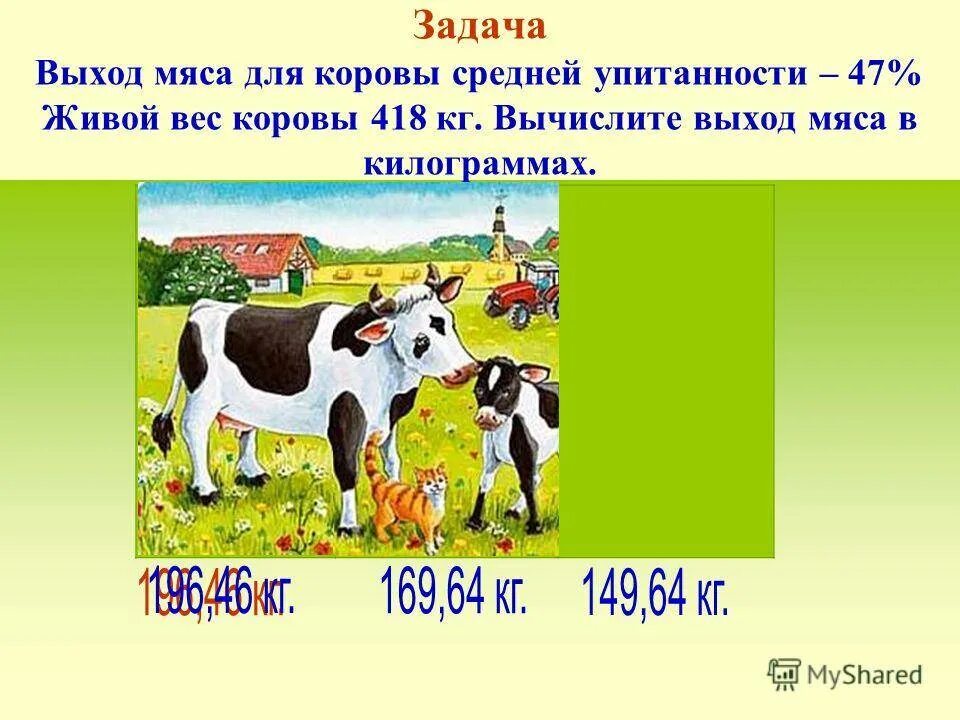 Живой вес сколько мясо. Вес коровы. Средний вес коровы. Средний живой вес коровы. Вес мяса коровы в среднем.