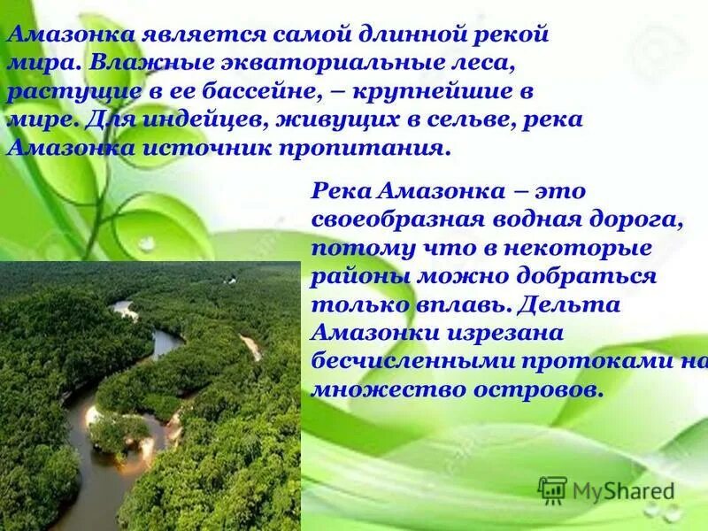 Бассейн реки амазонка на контурной карте. Река амазонка презентация. Бассейн реки амазонка на карте мира. Бассейн реки амазонка на контурной карте. Бассейном реки амазонка является.