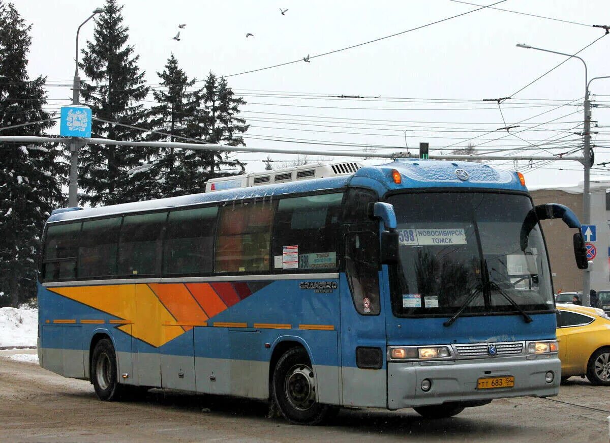 Kia Granbird (43), тт683 54. Автобус Новосибирск Томск. Томск Новокузнецк автобус. Автобусы НСК. Купить билет на автобус томск новосибирск