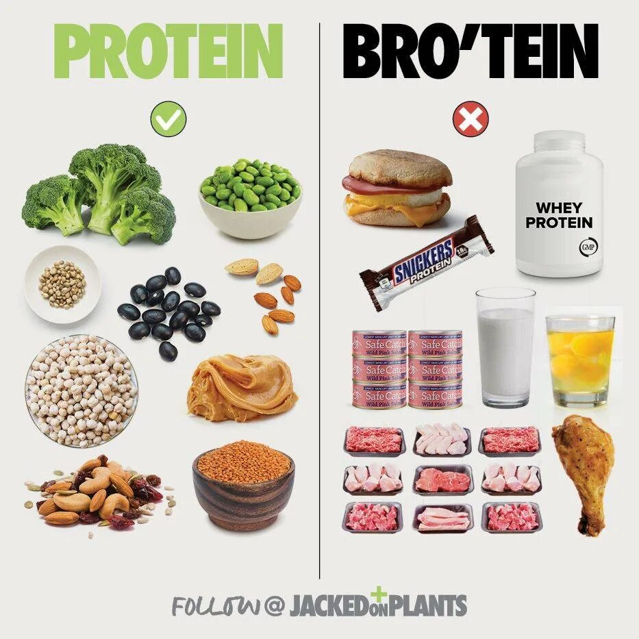 Еда с протеином. Протеин в продуктах. Высокобелковые продукты. Протеиновые продукты. Protein продукты.