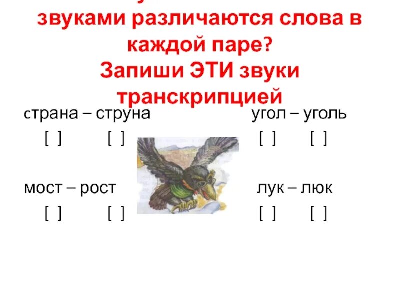 Произнеси пары слов. К какой звук. Какими звуками различаются слова. Транскрипция 1 класс. Какими звуками различаются слова лук и люк.