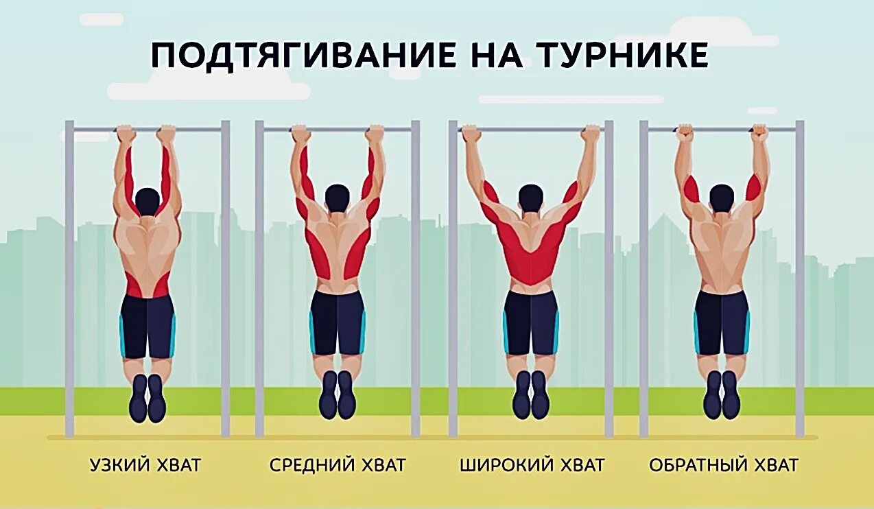 Сдача подтягиваний. Какие мышцы качаются на турнике разными хватами. Подтягивания группы мышц. Какие мышцы работают на турнике разными хватами. Какие мышцы работают при подтягивании.