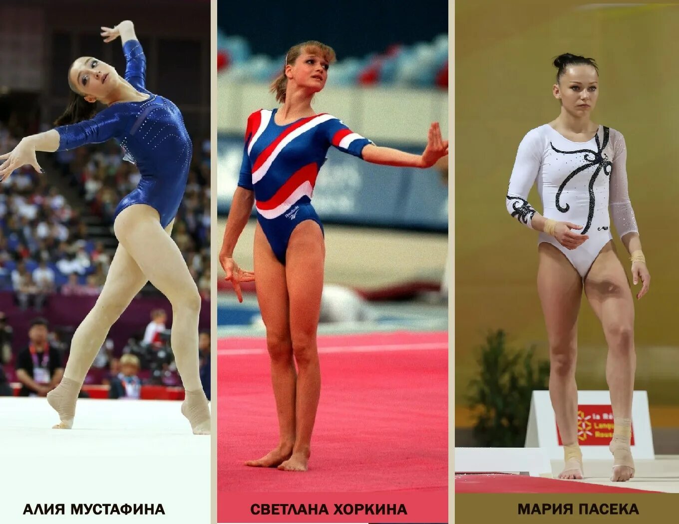 Таблица гимнасток роста по художественной гимнастике Читать книгу Обучение элементам без предмета на этапе начальной подготовки в худ