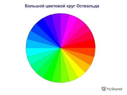 Большой цветной круг
