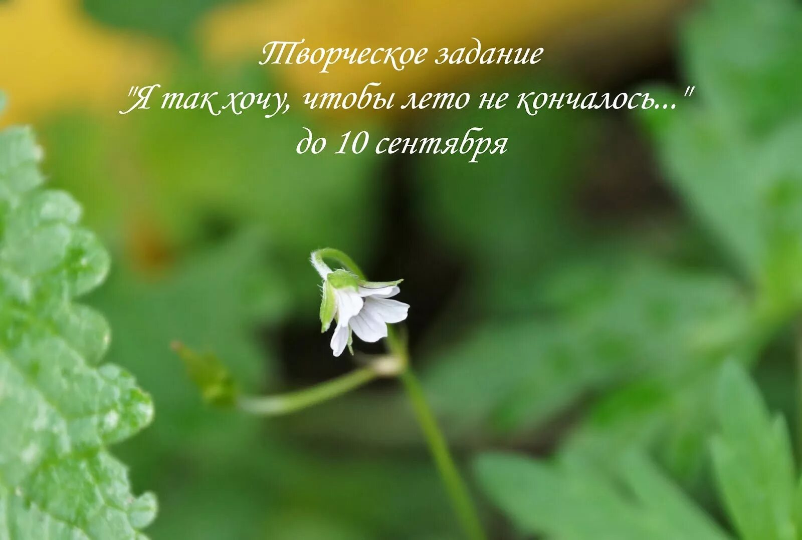 я хочу чтобы лето не кончалось ремикс. чтобы лето не кончалось. я хочу чтобы лето не кончалось ремикс. я хочу чтобы лето не кончалось ремикс. хочу чтобы лето не кончалось.