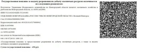Оплата госпошлины qr код