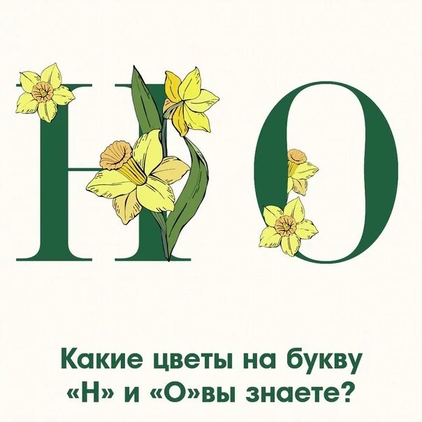 Цветы на букву н. Цветы на букву н названия. Буква н с цветочками. Название цветов на букву н.