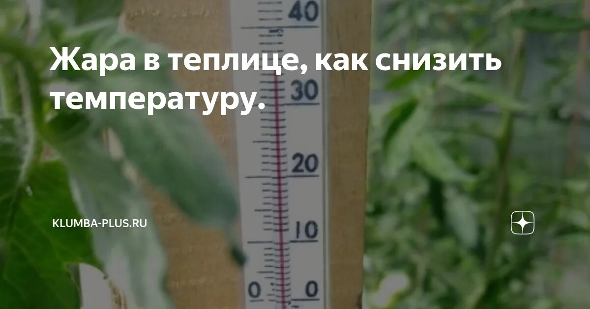 Комнатная температура на кондиционере. Как понизить температуру в комнате в жару. Кондиционер из вентилятора. Сокращение рабочего дня при высокой температуре. Рекомендации в жаркую погоду.