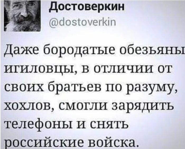 Подлости хохлов. Смешные высказывания про Хохлов. Высказывания о хохлах. Цитаты про Хохлов. Картинки с Цитатами про Хохлов.